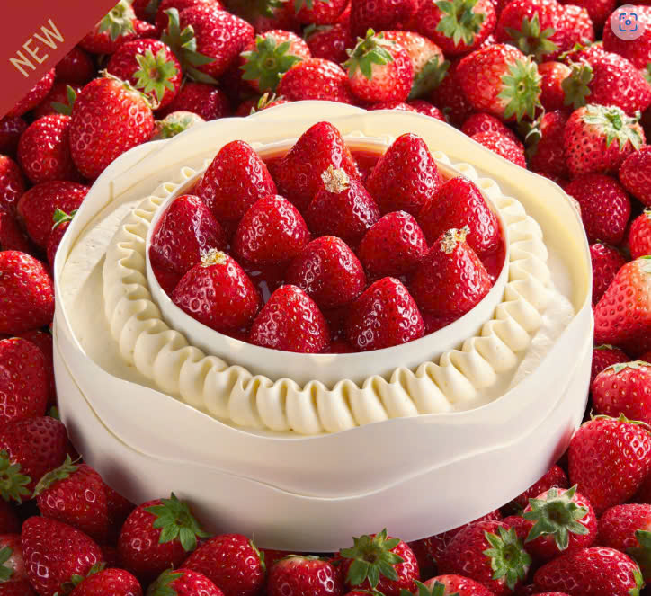 Lemon Raspberry Gato